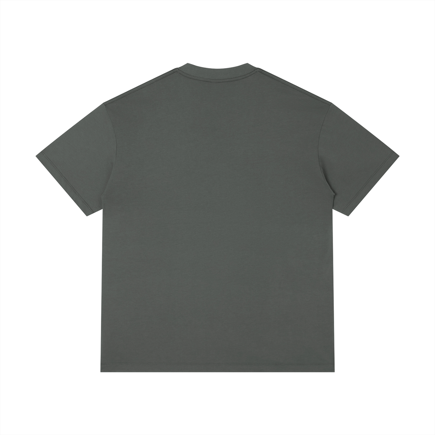 Unisex Regular Fit Crewneck T-Shirt